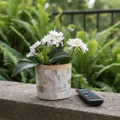 Handcrafted Mother of Pearl Mosaic Planter by Miss Bette's Creations showing intricate pearl mosaic design on a ceramic planter