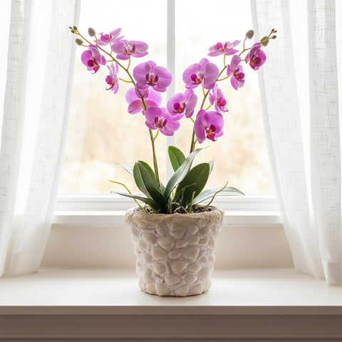 Seashell Beach Plant Pot