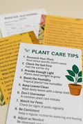 Miss Bette's Creations Plant Parent Care Kit with gardening tools, plant labels, and watering accessories for indoor plant care.