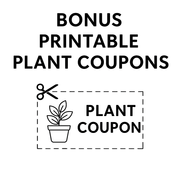 Plant Parent Care Kit