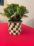 Modern green and white checkerboard mosaic herb planter with a round shape and vibrant design.