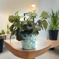 Turquoise mother of pearl flower pot with floral design, showcasing a glossy, decorative ceramic planter for indoor or outdoor use