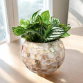 Handcrafted scalloped Capiz shell globe vase with intricate shell pattern, perfect for decorative floral displays.