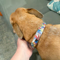 Handmade one-of-a-kind dog collar with colorful woven design and sturdy buckle, crafted by My Store.
