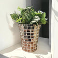 Artificial snake plant in a silver mosaic planter, featuring lush green leaves and decorative modern design by Miss Bette's Creations.