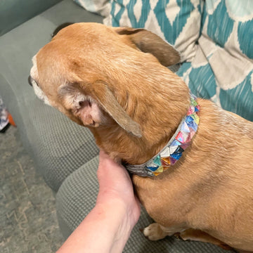 Handmade one-of-a-kind dog collar with intricate leather details and metal buckle, crafted for stylish and comfortable pet wear.