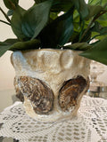 Handcrafted oyster shell relief planter with textured exterior, showcasing natural oyster shell design and rustic finish.
