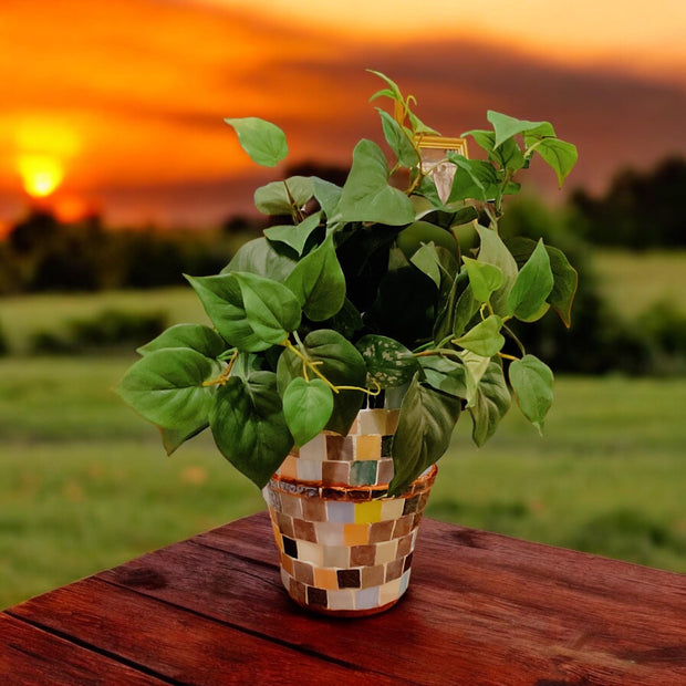 9.5” Tall X 6” Ceramic Mosaic Planter