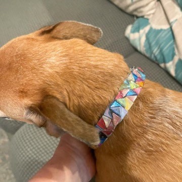 Handmade one-of-a-kind dog collar with intricate leather details and metal buckle, crafted for stylish and comfortable pet wear.