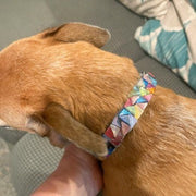 Handmade One of a Kind Dog Collar