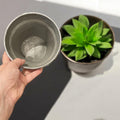Artificial snake plant in a silver mosaic planter, showcasing lush green leaves and decorative ceramic design.