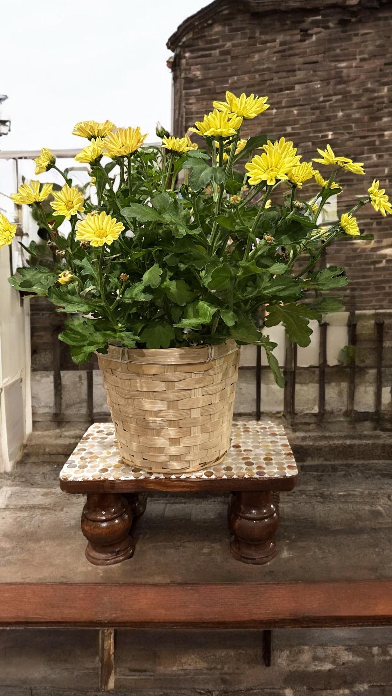 Vintage hand-carved wooden pedestal stand displaying detailed craftsmanship and natural wood finish for decorative display.
