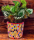Colorful handcrafted rainbow mosaic planter with vibrant geometric tiles, perfect for indoor or outdoor plant displays.