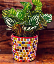 Rainbow Plant Pot | Mosaic Planter | Rainbow Planter | Colorful Planter | Multi Colored Planter | Plant Lover Rainbow Gift | Plant Pot Gift