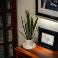 Handmade mother of pearl scallop mosaic decorative stand with intricate shell pattern on a neutral background