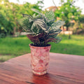Handcrafted scalloped Capiz shell mosaic vase with iridescent shell details and elegant design.