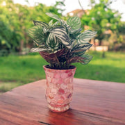 Mother of Pearl 6” Vase |Hurricane Lamp Vase|Handmade Vase | Mother of Pearl Planter
