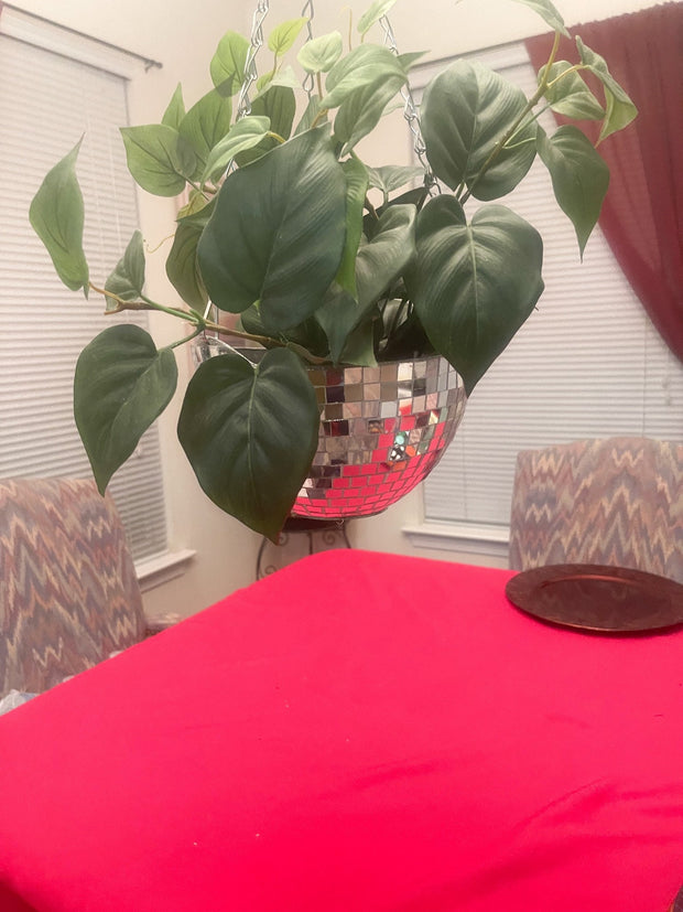 Mirrored Hanging Planter