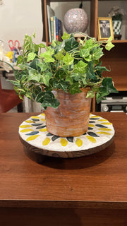 10” Plant Stand /Green and yellow stand | Wooden plant riser