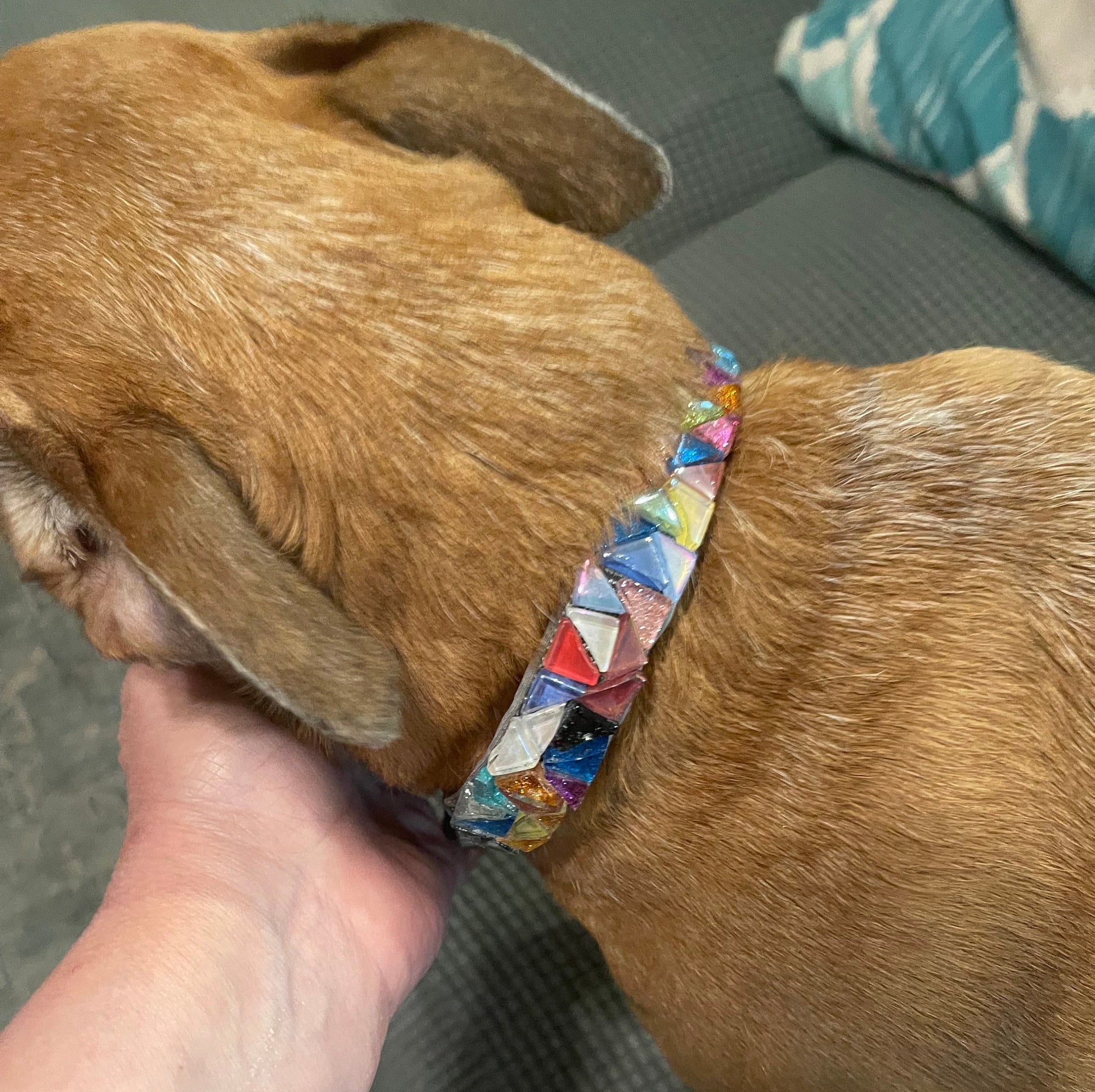 Handmade one-of-a-kind dog collar with colorful fabric and a sturdy buckle, designed for stylish and comfortable pet wear.