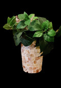 Ivory Coast Mother of Pearl cylindrical vase with iridescent finish, decorative home accent in a neutral color.