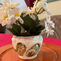 Handcrafted seashell and sandstone mini planter with natural textures, perfect for small indoor plants or decorative displays